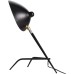 Интерьерная настольная лампа Spruzzo SL305.404.01 ST Luce