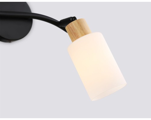 Спот TRADITIONAL TR8721 Ambrella
