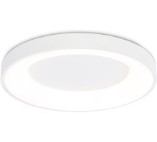 Потолочный светильник ORBITAL FZ1401 Ambrella