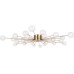 Потолочная люстра Celebrity FR5242CL-24BS1 Freya