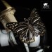 Бра Alessandra A5004AP-1AB Arte Lamp