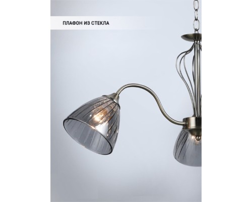Подвесная люстра Savena WD3625/3H-AB-SMK Wedo Light