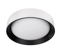 Потолочный светильник Coin 10202 WB Loft It