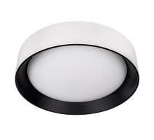 Потолочный светильник Coin 10202 WB Loft It