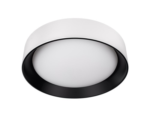 Потолочный светильник Coin 10202 WB Loft It