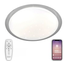 Потолочный светильник LED LED LAMPS 81102 Natali Kovaltseva