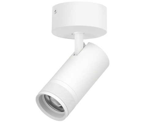 Спот Canno Pro C4306SO Lightstar