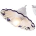 Бра Anna A6473AP-1WH Arte Lamp