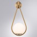 Бра Matisse A7765AP-1AB Arte Lamp