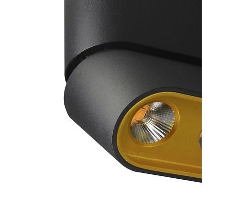 Спот Фергус 8005/3CM-BK-GD Lumien Hall