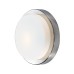 Настенно-потолочный светильник Holger 2746/1C Odeon Light