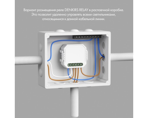 Wi-Fi реле Relay RL1001-SM/1 Denkirs