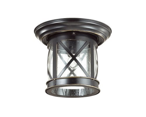 Потолочный светильник уличный Sation 4045/1C Odeon Light