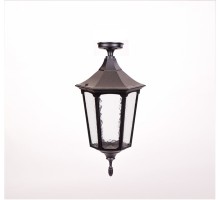Потолочный светильник уличный ALBORG L 79705LA Bl Oasis Light