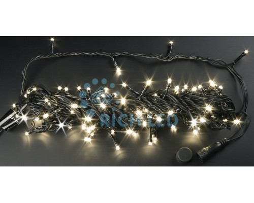Гирлянда  RL-S10CF-24V-B/WW Rich LED