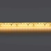 Светодиодная лента Lightstar 421053 Lightstar