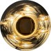 Бра Anodine 8109W/800 brass DeLight Collection