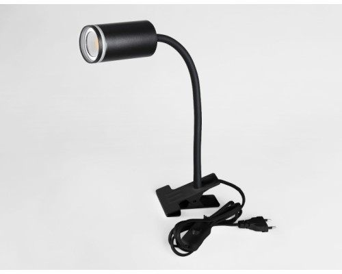 Офисная настольная лампа WALLERS FW2468 Ambrella