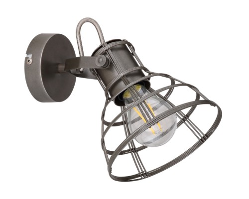 Спот Grammy 54019-1 Globo
