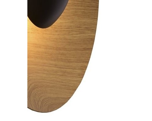 Настенный светильник Arta 8007/1WM-WD Lumien Hall