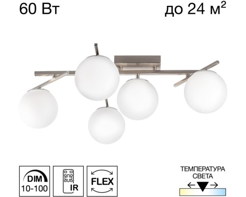 Потолочная люстра Dorsy CL223151 Citilux