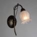 Бра Glamore A7449AP-1BR Arte Lamp