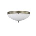 Бра Biene MR2521-3W MyFar