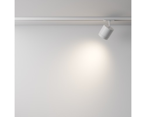 Трековый светильник Polar TR088-1-GX53-W Maytoni