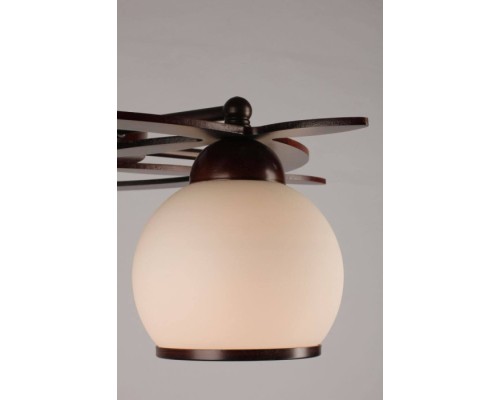 Потолочная люстра Fronteira OML-50507-05 Omnilux
