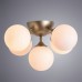 Потолочная люстра Fobos A2704PL-5SG Arte Lamp