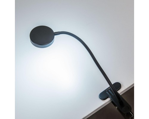 Интерьерная настольная лампа Ньютон CL803071N Citilux