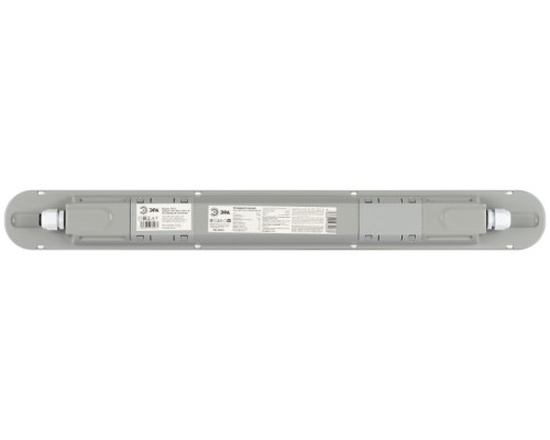 Настенно-потолочный светильник SPP-2 SPP-202-0-65K-L18 ЭРА