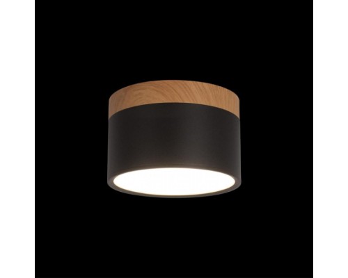 Точечный светильник Grape 10162 Black Loft It