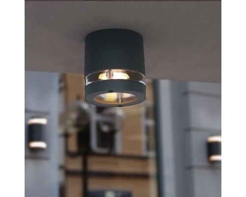 Потолочный светильник уличный  6042 Gr Oasis Light