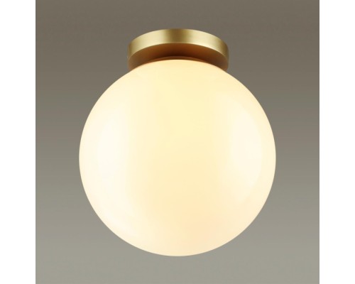 Потолочный светильник уличный Bosco 4248/1C Odeon Light