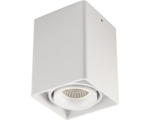 Точечный светильник Lumme DL18611/01WW-SQ White Donolux