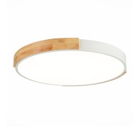 Потолочный светильник Delia SLE201352-01 Evoluce