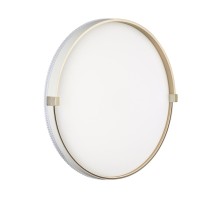 Настенно-потолочный светильник Olidi White 7646/ELN Sonex