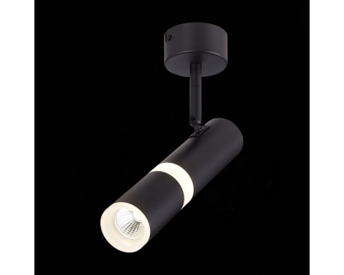 Спот Escopio ST106.442.08 ST Luce