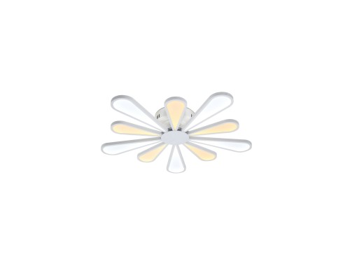 Потолочная люстра Miracoli Miracoli 202.10 LED Lucia Tucci