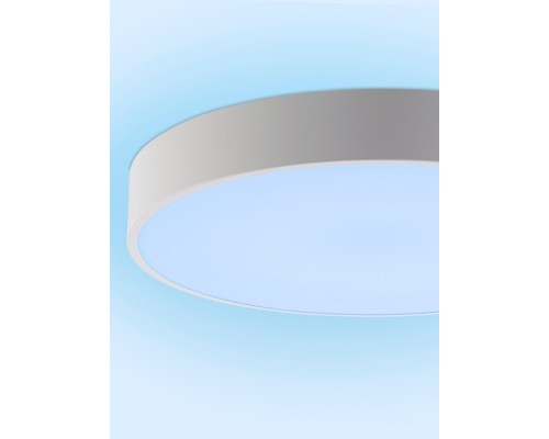 Потолочный светильник Modern LED LAMPS 81105/1C Natali Kovaltseva