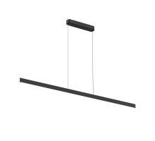 Подвесной светильник RAYLINE DK6733-BK Denkirs
