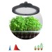 Светильник для растений  FITO-50W-RB-LED-UFO ЭРА
