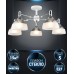 Потолочная люстра Alana WD3616/5C-WT-CR-WT Wedo Light