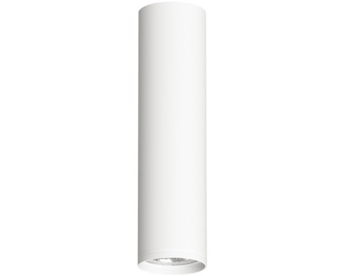 Точечный светильник TUBE DK2052-WH Denkirs