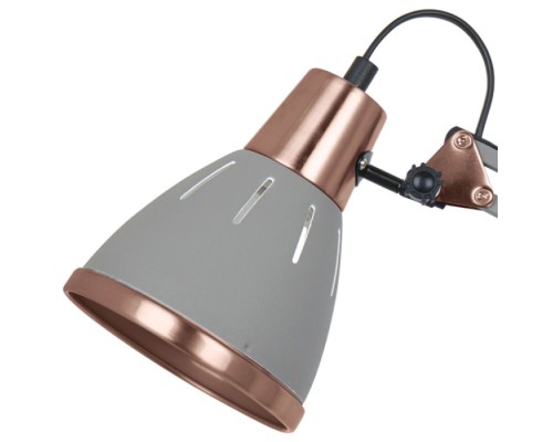 Офисная настольная лампа Pixar A2246LT-1GY Arte Lamp