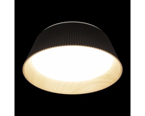 Потолочный светильник Evans 10224 Black Loft It