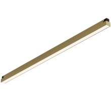 Трековый светильник SHINE LINEAR DK5752-SB Denkirs