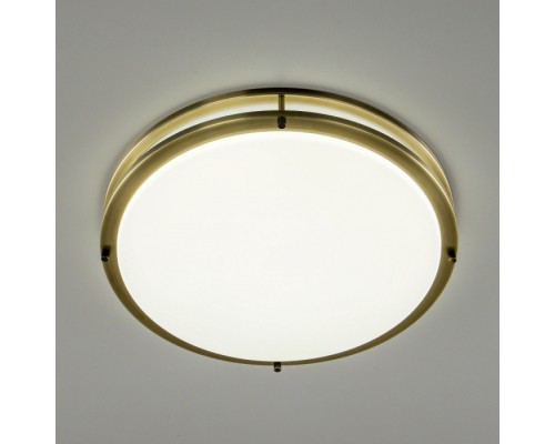 Настенно-потолочный светильник Бостон CL709503N Citilux