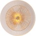 Настенный светильник Ajour A1258AP-1PB Arte Lamp